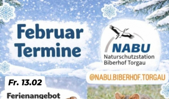 Februar Termine Grafik: Tom Sens